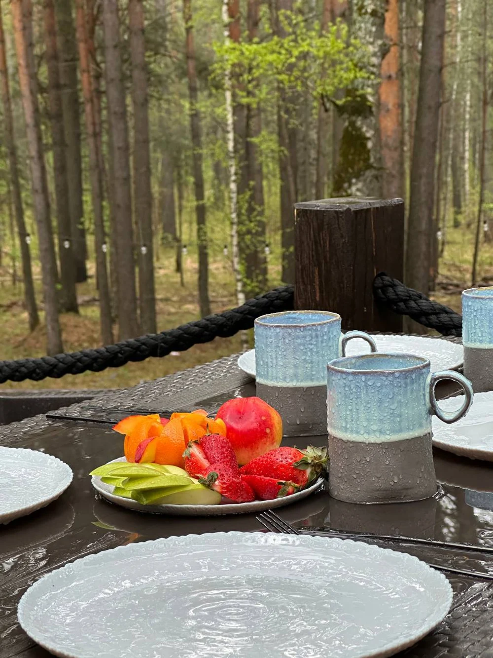 База отдыха «Джуманджи»